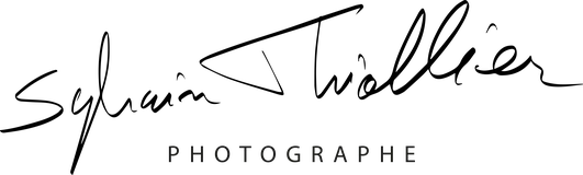 Logo Sylvain Thiollier